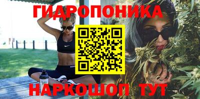стафф Тара