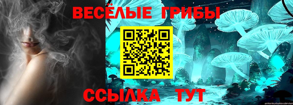 Галлюциногенные грибы Magic Shrooms  Вход с VPN  Галлюциногенные грибы Magic Shrooms  Аргун 