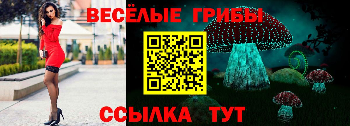 Галлюциногенные грибы Psilocybine cubensis Аргун