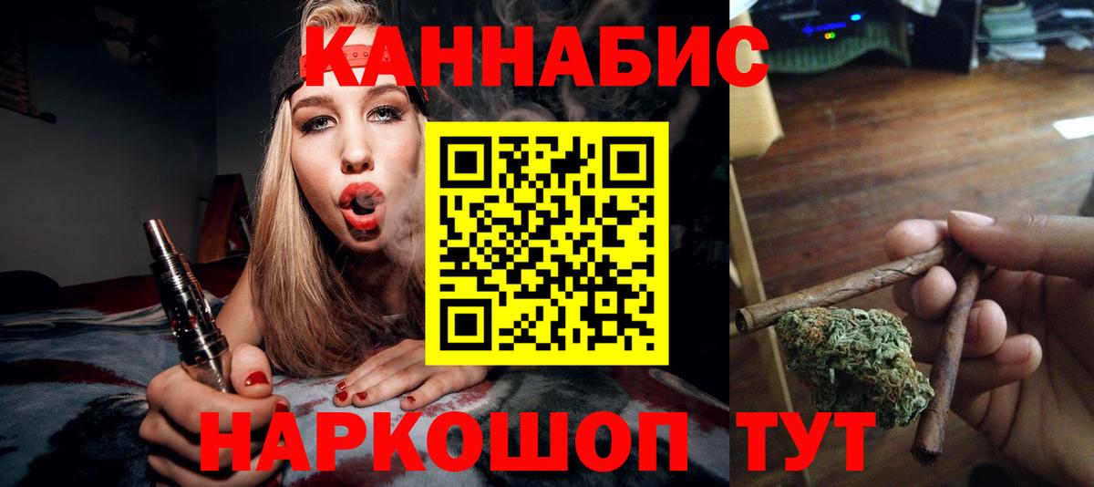 Бошки Шишки план Аргун
